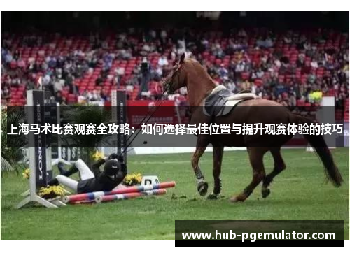 上海马术比赛观赛全攻略:如何选择最佳位置与提升观赛体验的技巧