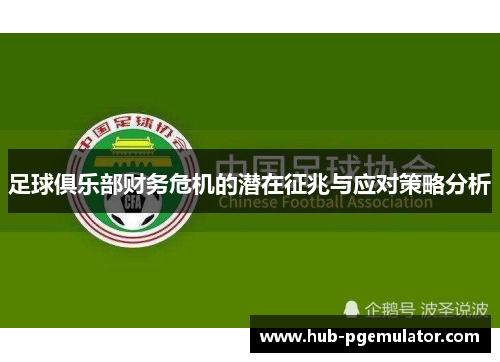 足球俱乐部财务危机的潜在征兆与应对策略分析 足球俱乐部财务危机的潜在征兆与应对策略分析