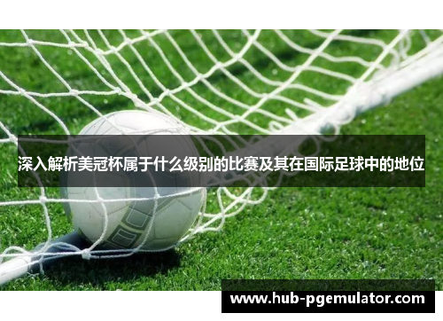 深入解析美冠杯属于什么级别的比赛及其在国际足球中的地位