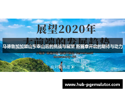 马德鲁加加盟山东泰山后的挑战与展望 新篇章开启的期待与动力