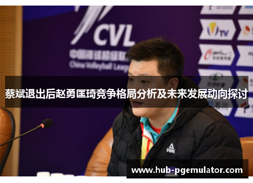 蔡斌退出后赵勇匡琦竞争格局分析及未来发展动向探讨